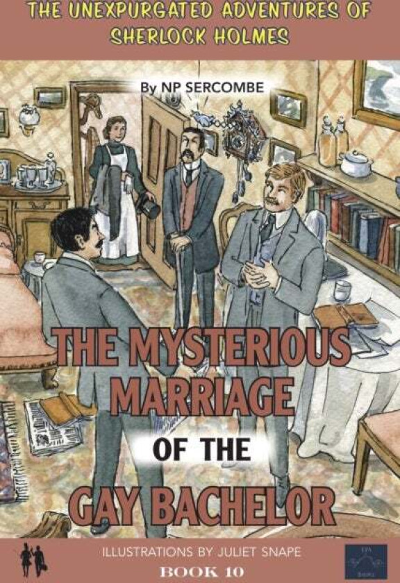 The Mysterious Marriage of the Gay Bachelor av NP Sercombe