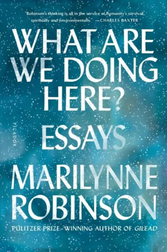 What Are We Doing Here? av Marilynne Robinson