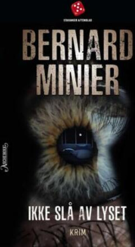 Ikke slå av lyset av Bernard Minier