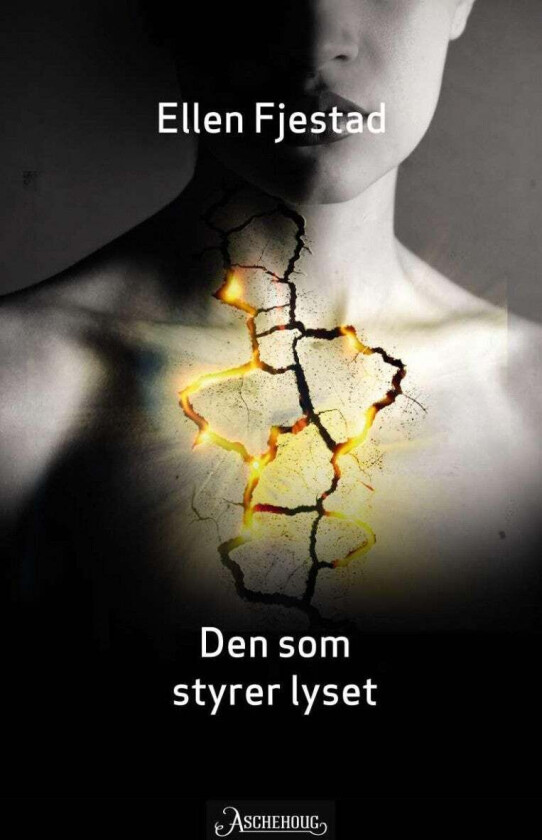 Den som styrer lyset av Ellen Fjestad