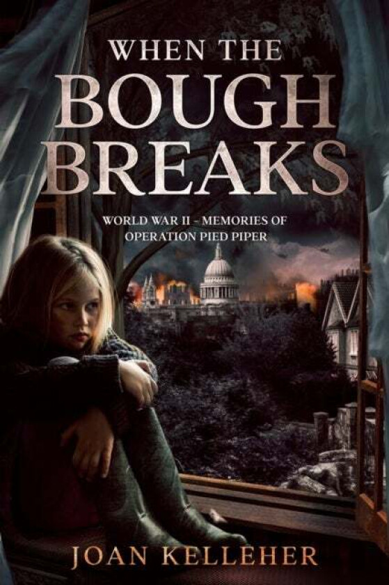 When the Bough Breaks av Joan Kelleher