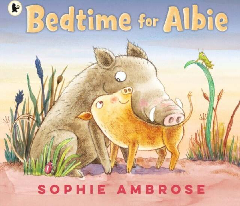 Bedtime for Albie av Sophie Ambrose