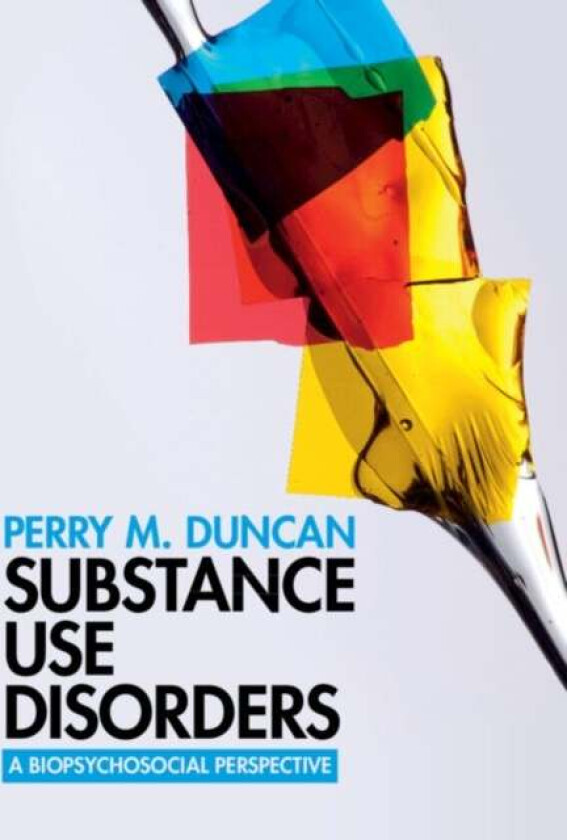 Substance Use Disorders av Perry M. (Old Dominion University Virginia) Duncan