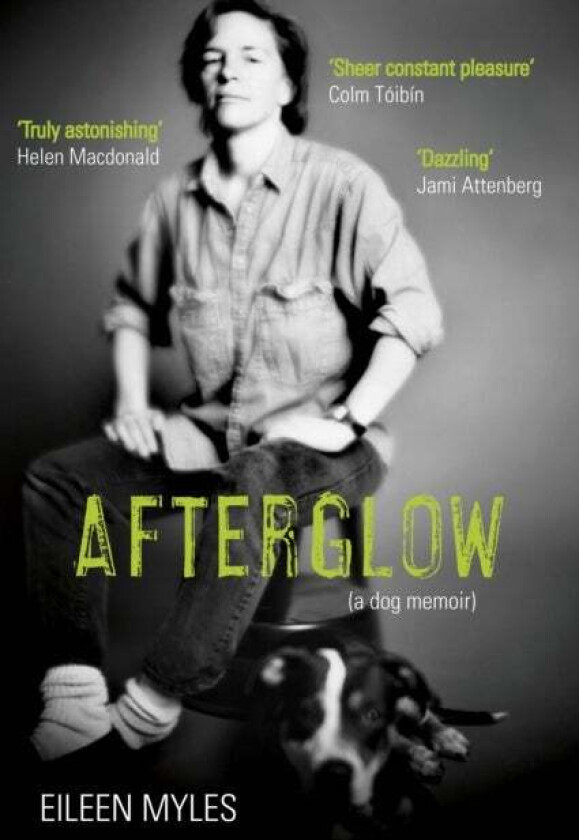 Afterglow av Eileen Myles