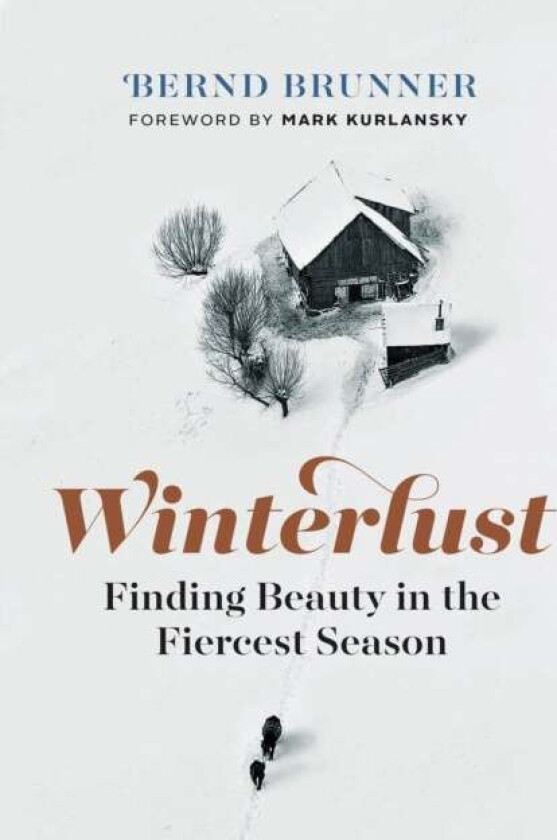 Winterlust av Bernd Brunner