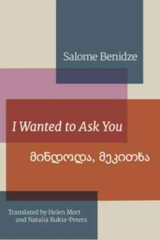 I Wanted To Ask You av Salome Benidze