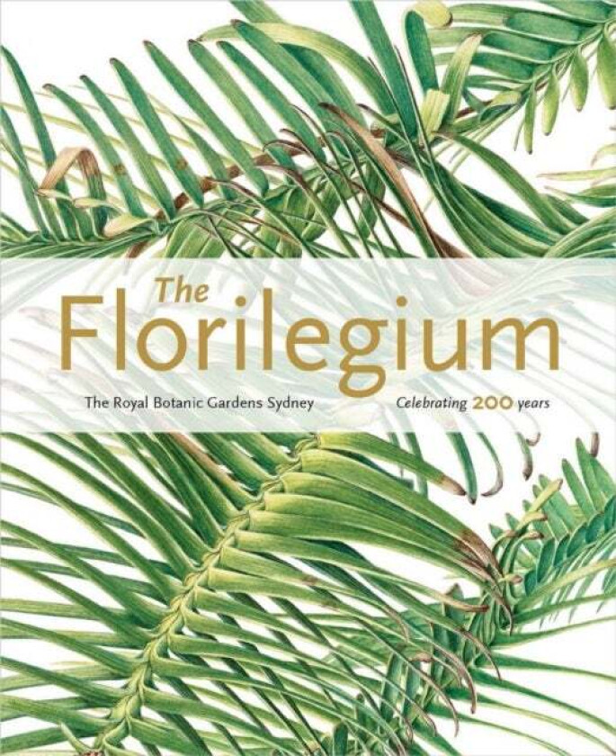 Florilegium: the Royal Botanic Gardens Sydney - Celebrating 200 Years av Colleen Morris, Louisa Murray