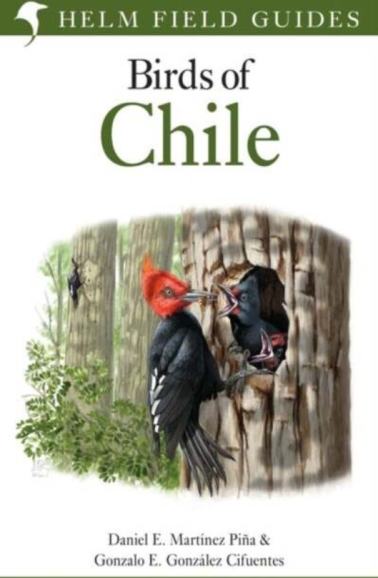 Field Guide to the Birds of Chile av Daniel E. Martinez Pina, Gonzalo E. Go Cifuentes
