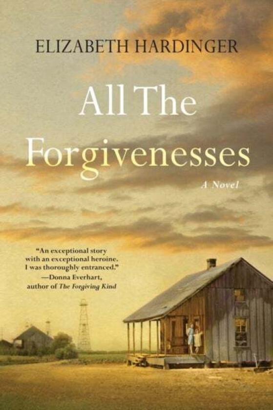 All the Forgivenesses av Elizabeth Hardinger