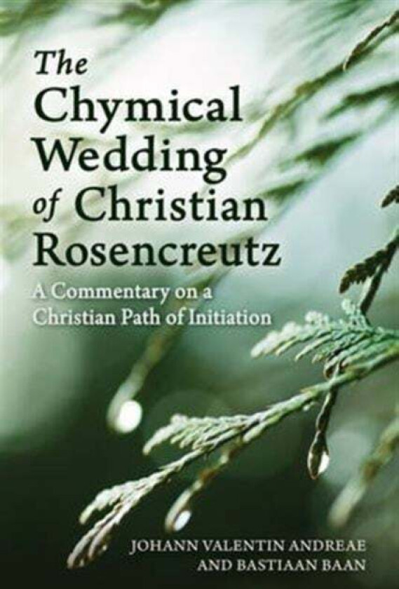 The Chymical Wedding of Christian Rosenkreutz av Johann Valentin Andreae, Bastiaan Baan