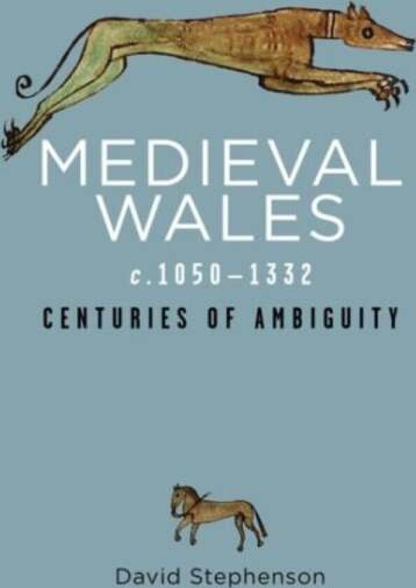 Medieval Wales c.1050-1332 av David Stephenson