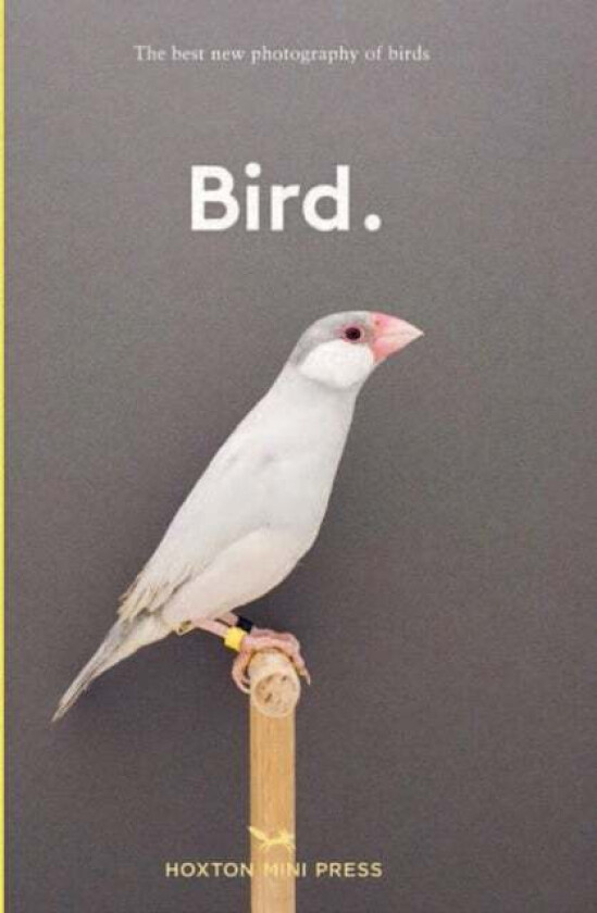 Bird. av Hoxton Mini Press