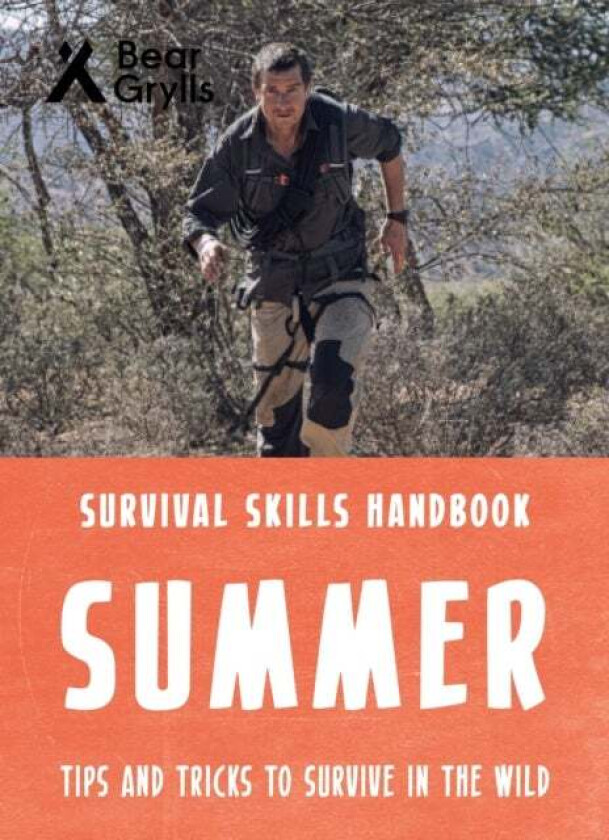 Bear Grylls Survival Skills: Summer av Bear Grylls