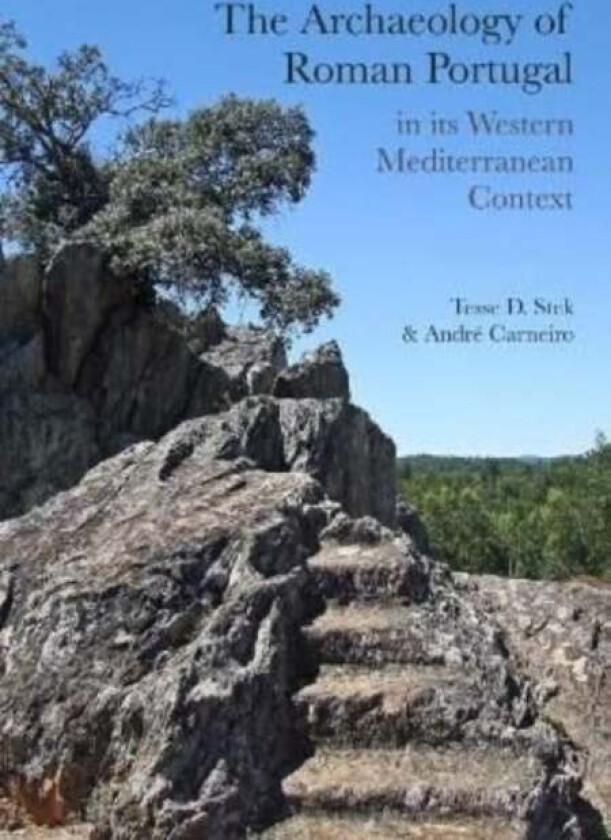 The Archaeology of Roman Portugal in its Western Mediterranean Context
