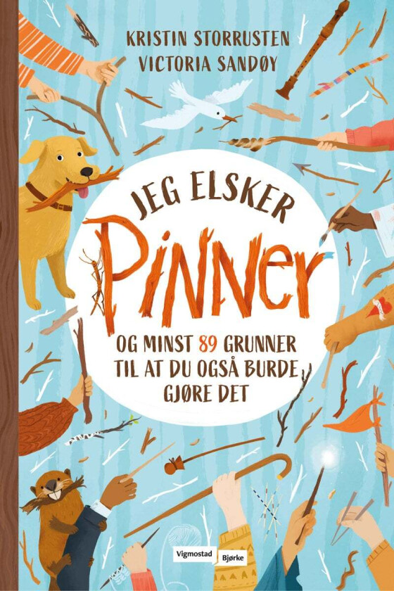 Jeg elsker pinner av Kristin Storrusten