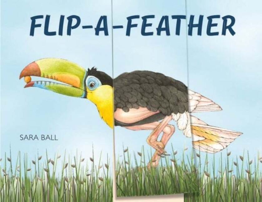 Flip-a-Feather av Sara Ball