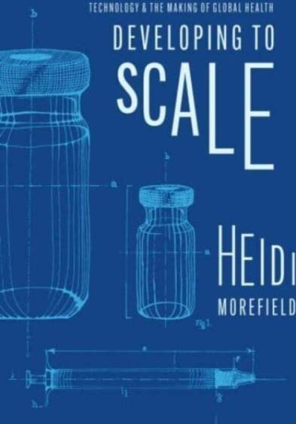 Developing to Scale av Heidi Morefield