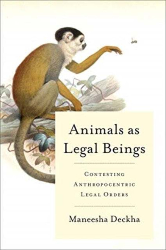 Animals as Legal Beings av Maneesha Deckha