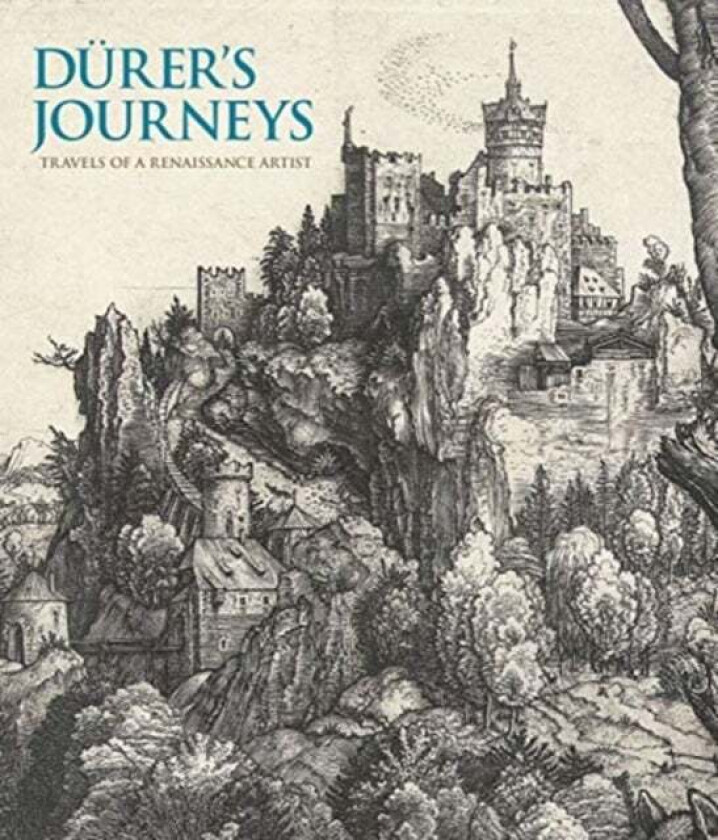 Durer's Journeys av Susan Foister, Peter van den Brink