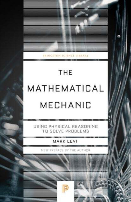 The Mathematical Mechanic av Mark Levi
