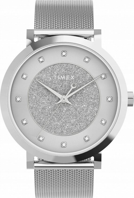 Ladies TW2U67000 - Kvarts - Sølv - Dameklokker - Meshlenke - Mineral