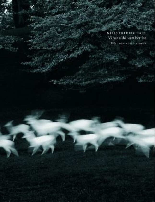 Vi har aldri vært her før av Niels Fredrik Dahl