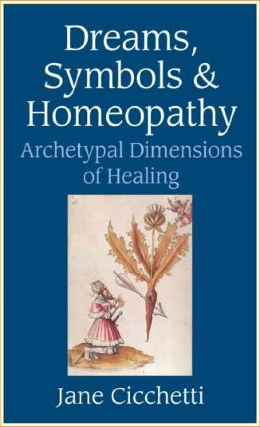 Dreams, Symbols, and Homeopathy av Jane Cicchetti