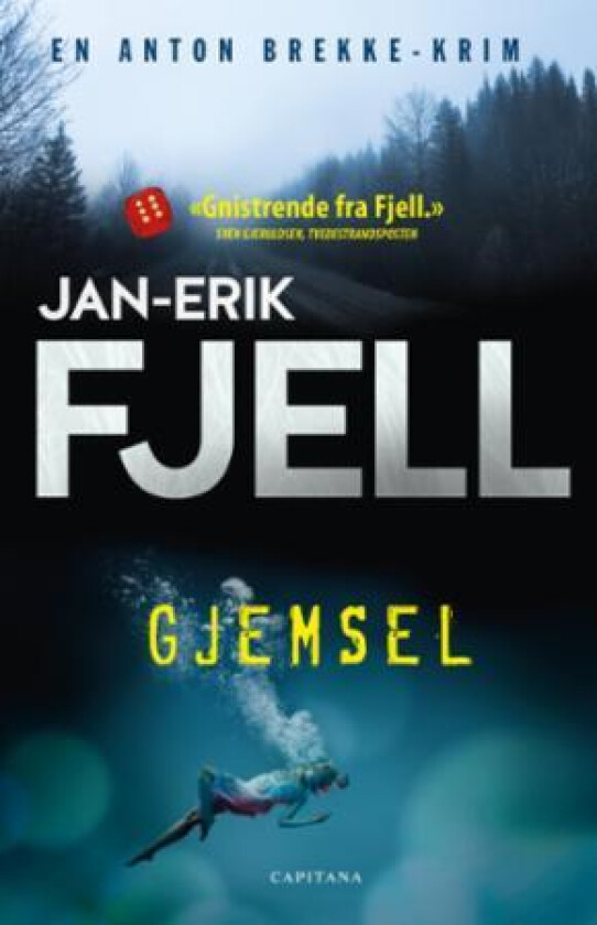 Gjemsel av Jan-Erik Fjell