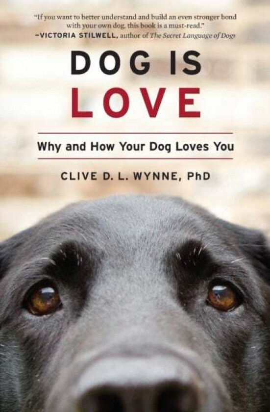 Dog Is Love av Clive D. L. Wynne