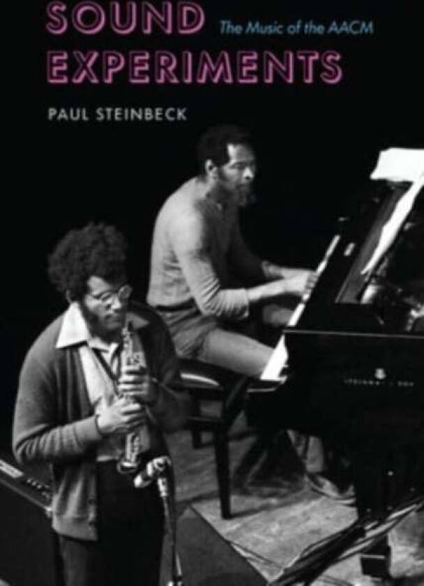 Sound Experiments av Paul Steinbeck