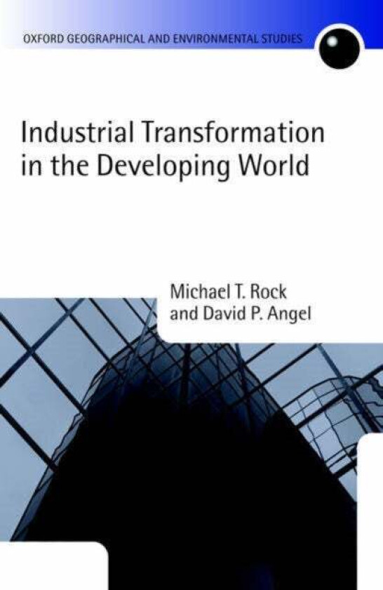 Industrial Transformation in the Developing World av Michael T. (Harvey Wexler Professor of Econo Rock