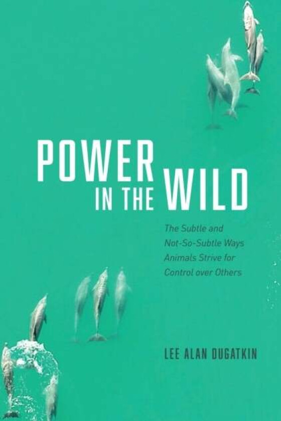 Power in the Wild av Lee Alan Dugatkin