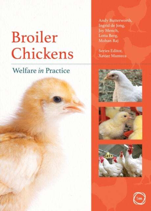 Broiler Chickens Welfare in Practice av Andy Butterworth