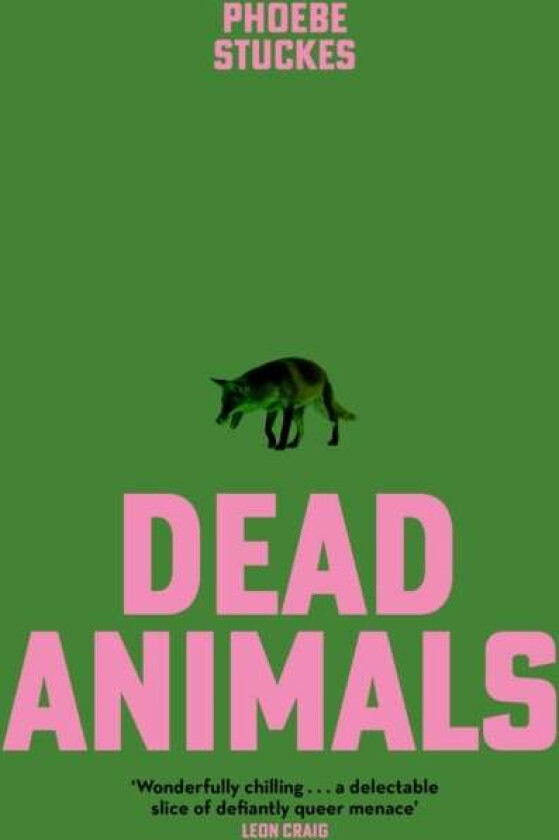 Dead Animals av Phoebe Stuckes