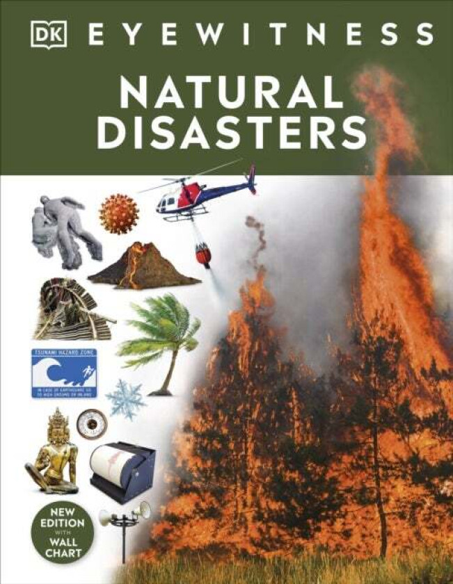 Natural Disasters av DK