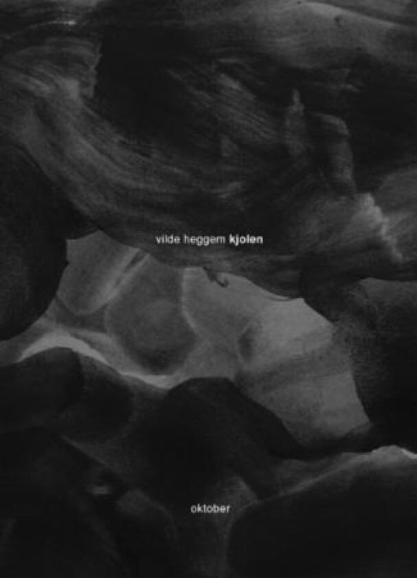 Kjolen av Vilde Heggem