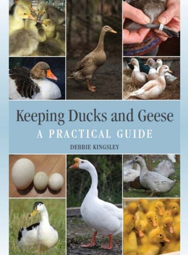 Keeping Ducks and Geese av Debbie Kingsley