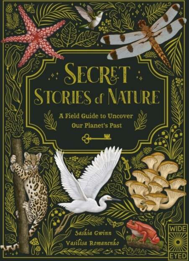Secret Stories of Nature av Saskia Gwinn