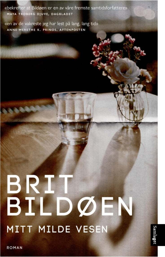 Mitt milde vesen av Brit Bildøen