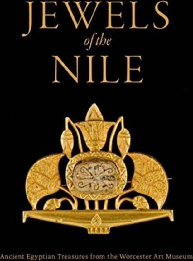 Jewels of the Nile: Ancient Egyptian Treasures from the Worcester Art Museum av Peter Lacovara, Yvonne J Markowitz