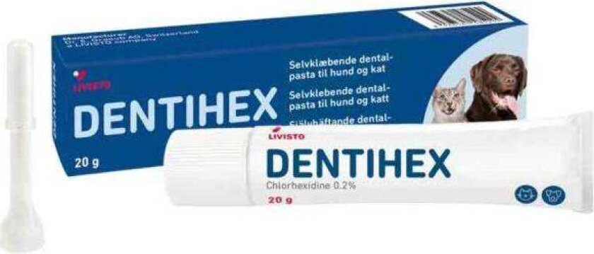 Dentihex 20g