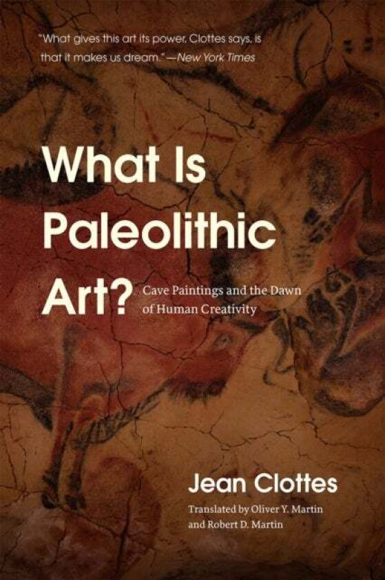 What Is Paleolithic Art? av Jean Clottes