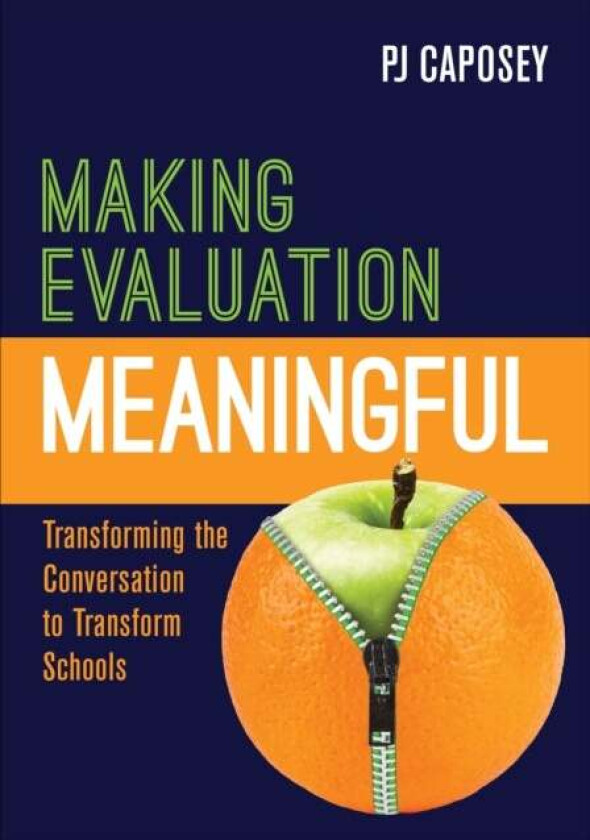 Making Evaluation Meaningful av P J Caposey