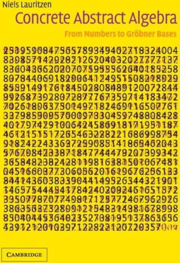 Concrete Abstract Algebra av Niels (Aarhus Universitet Denmark) Lauritzen
