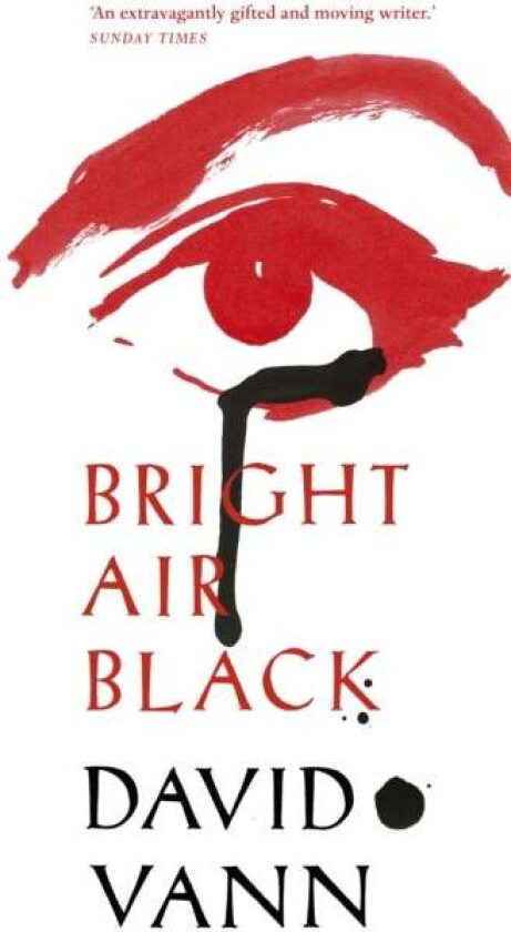 Bright Air Black av David Vann