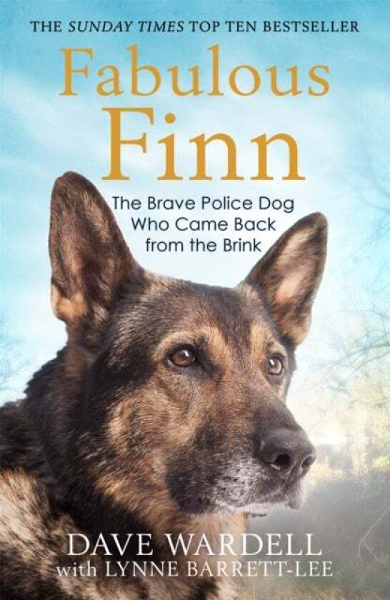 Fabulous Finn av Dave Wardell
