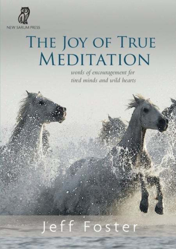 The joy of True Meditation av Jeff Foster