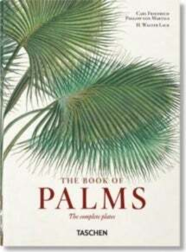 Martius. The Book of Palms. 40th Ed. av H. Walter Lack