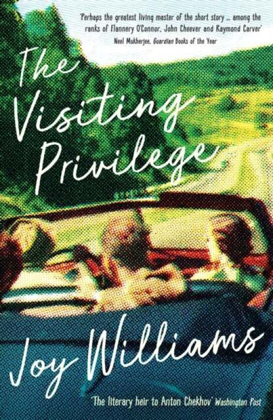 The Visiting Privilege av Joy Williams