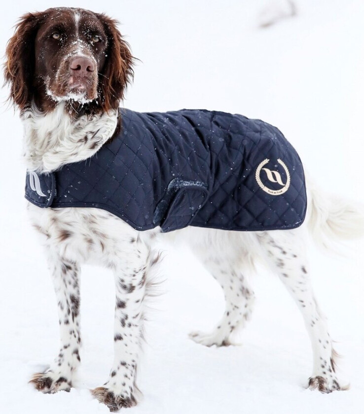 Back on Track Nights Collection Hundedekken Mørkeblått (20 cm)